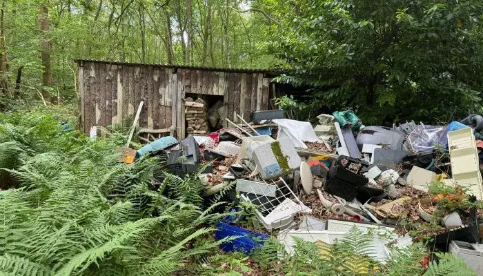 Rubbish in woodlands